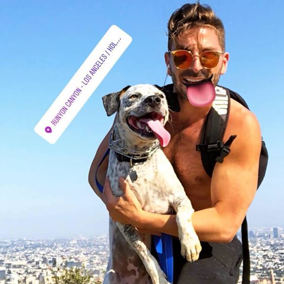 Meet your Posher, Joey - Picture 1 of 1